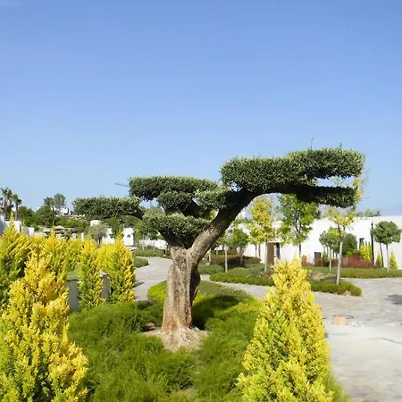 Limonero 17, Golf Club In Colinas Holiday home Dehesa de Campoamor (Orihuela Costa)